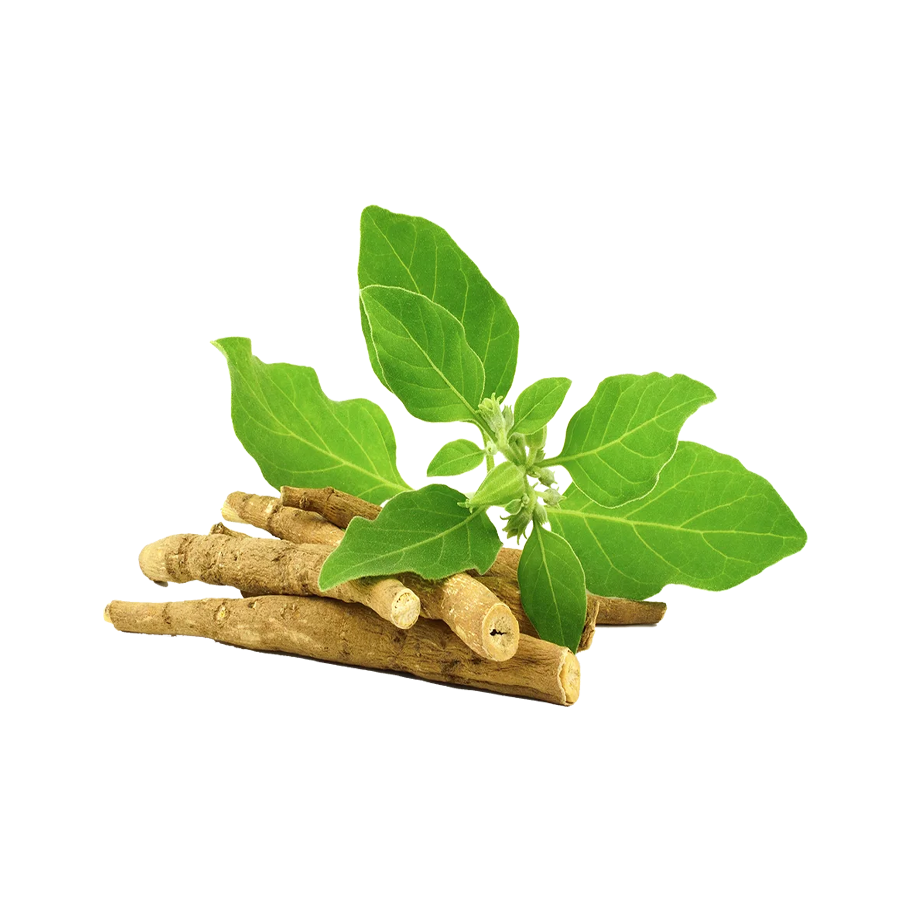 Alt image